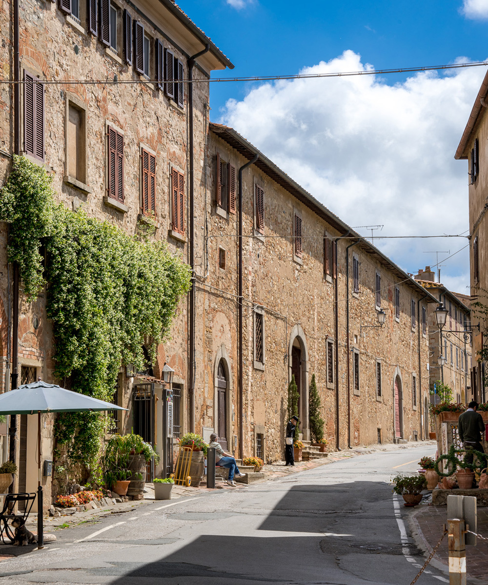 Bolgheri nel presente