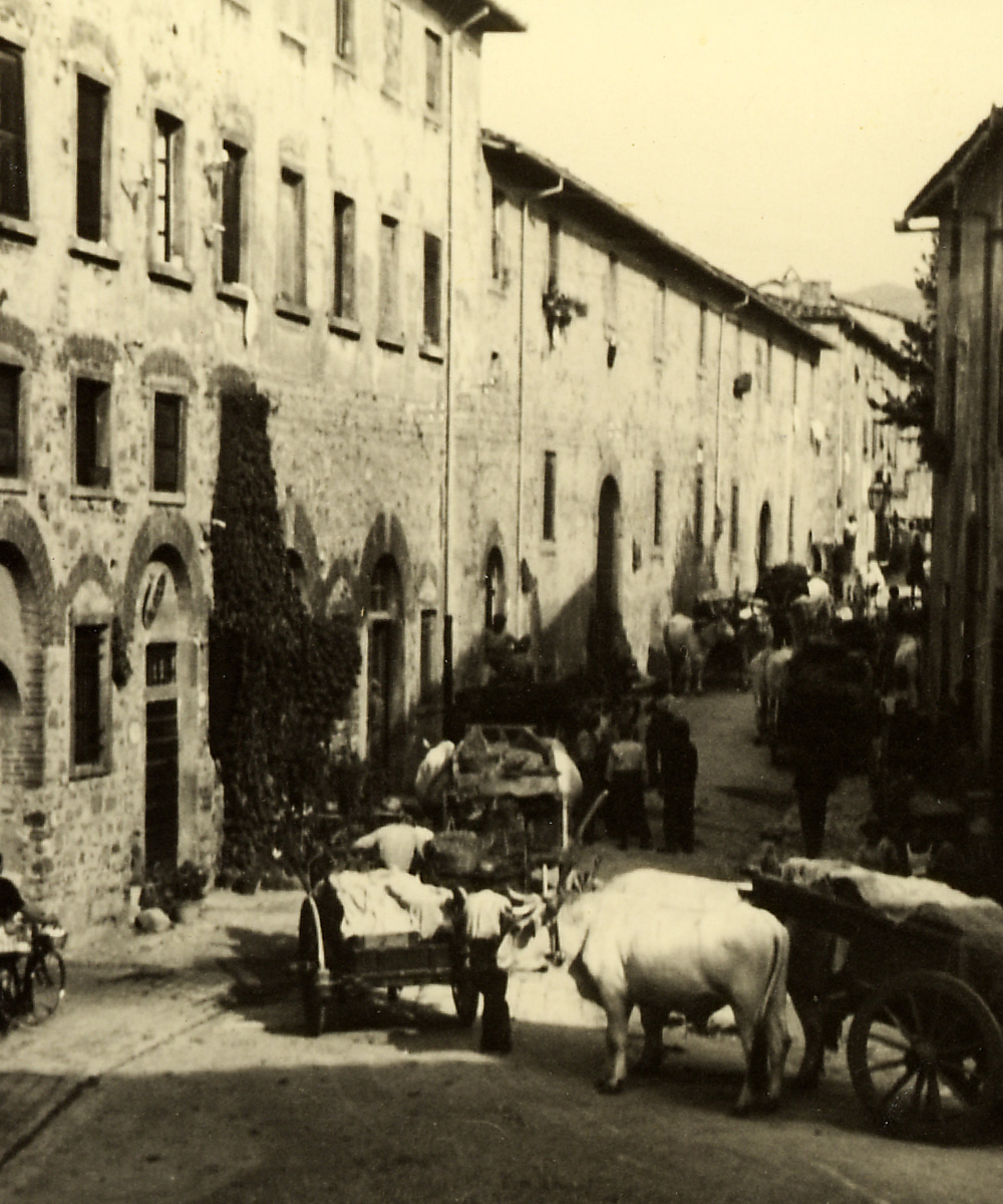 Bolgheri in the past