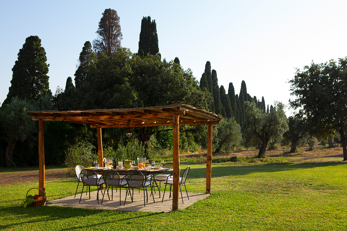laid table with cypresses in the background