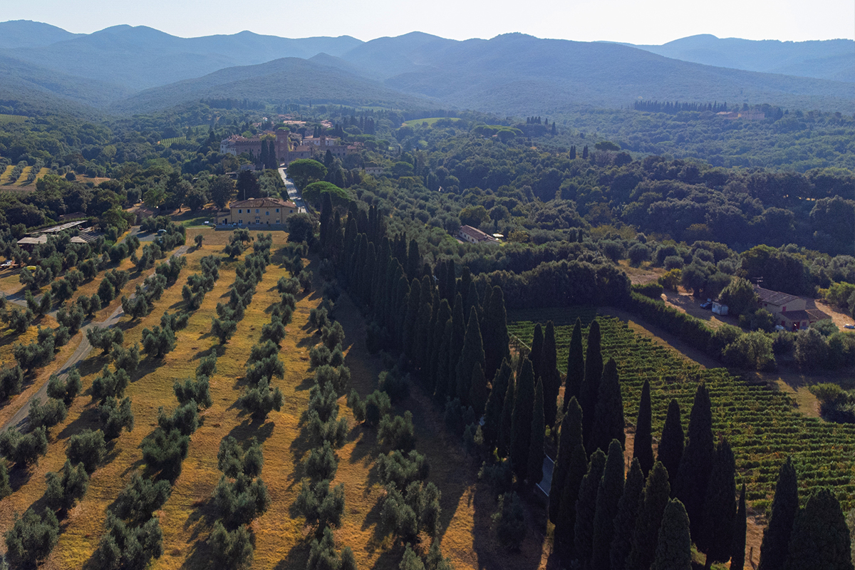 mani con terreno di Bolgheri