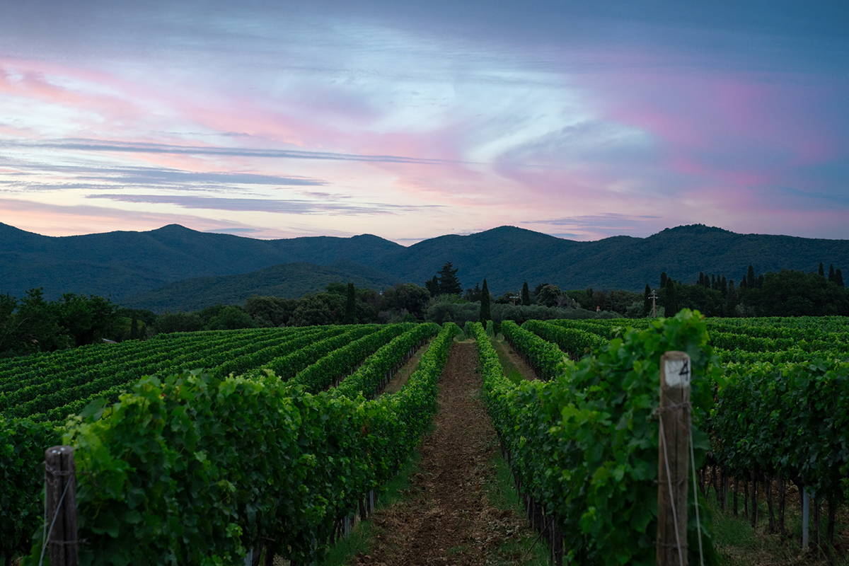 Bolgheri biodiversity